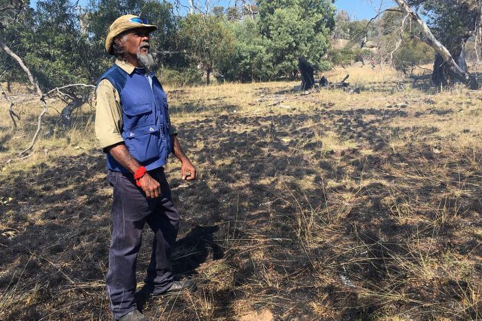 Monaro Farmers Using Aboriginal Cool-Burn Fires To Recover Biodiversity ...